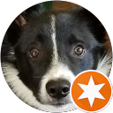 HiyoSilver87 profile picture